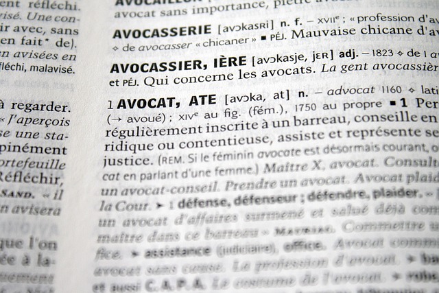 Test: De mest populære dansk-italiensk ordbog apps sammenlignet