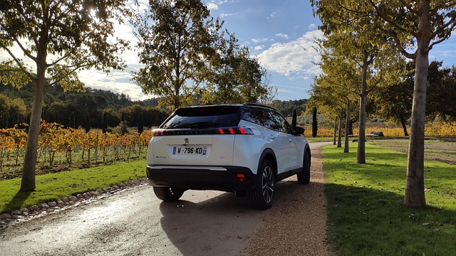 Elbil på lifte: De største udfordringer for værksteder